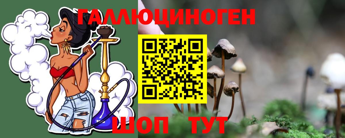 Псилоцибиновые грибы Psilocybine cubensis Тамбов